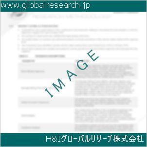グローバルリサーチ調査資料のイメージ